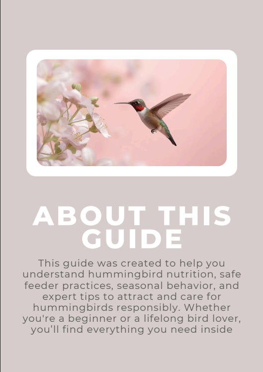 How to Attract Hummingbirds to Your Yard (Digital Guide)