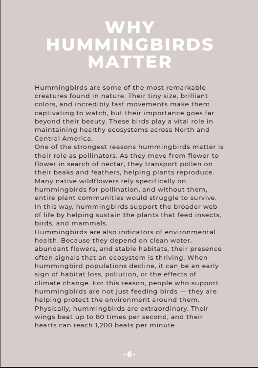 How to Attract Hummingbirds to Your Yard (Digital Guide)