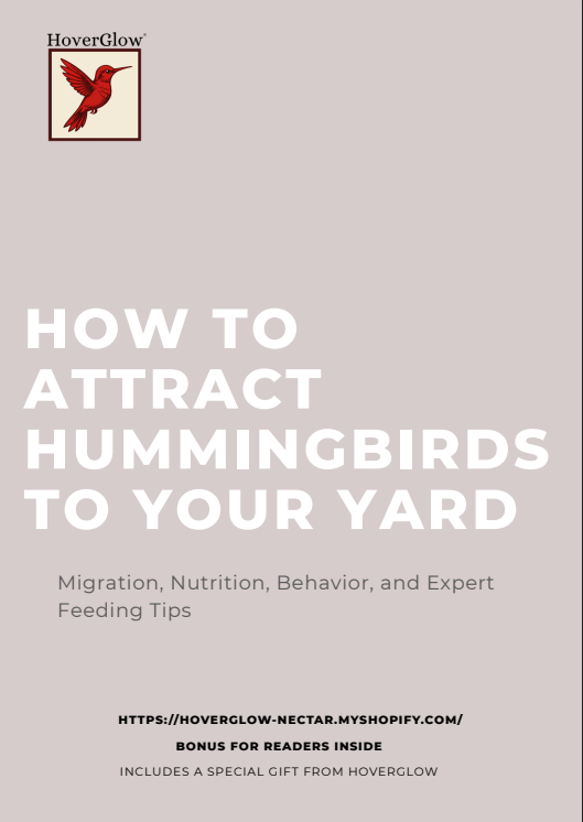How to Attract Hummingbirds to Your Yard (Digital Guide)